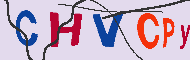 Codice captcha
